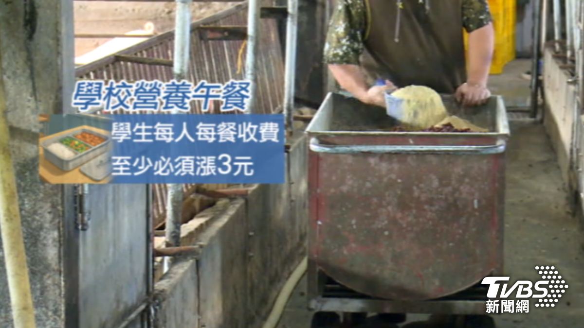 廚餘養豬落日營養午餐恐漲。(圖/TVBS)