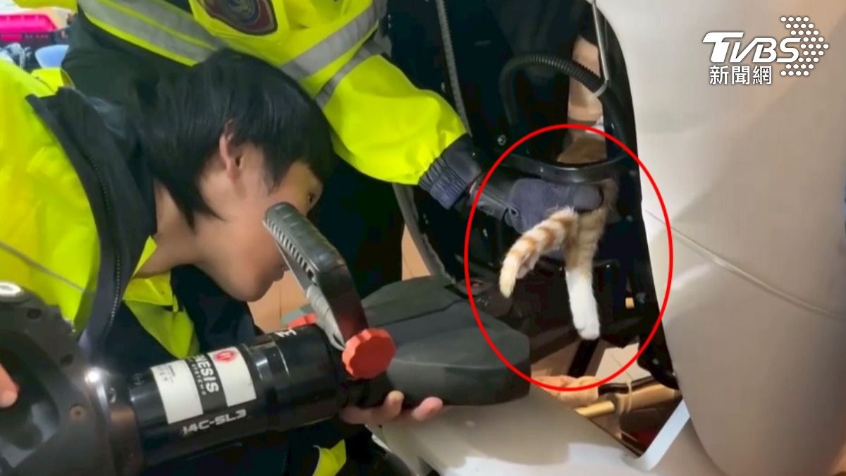 搶救貓咪大作戰！幼喵卡在「按摩椅」　消防隊拆解救援