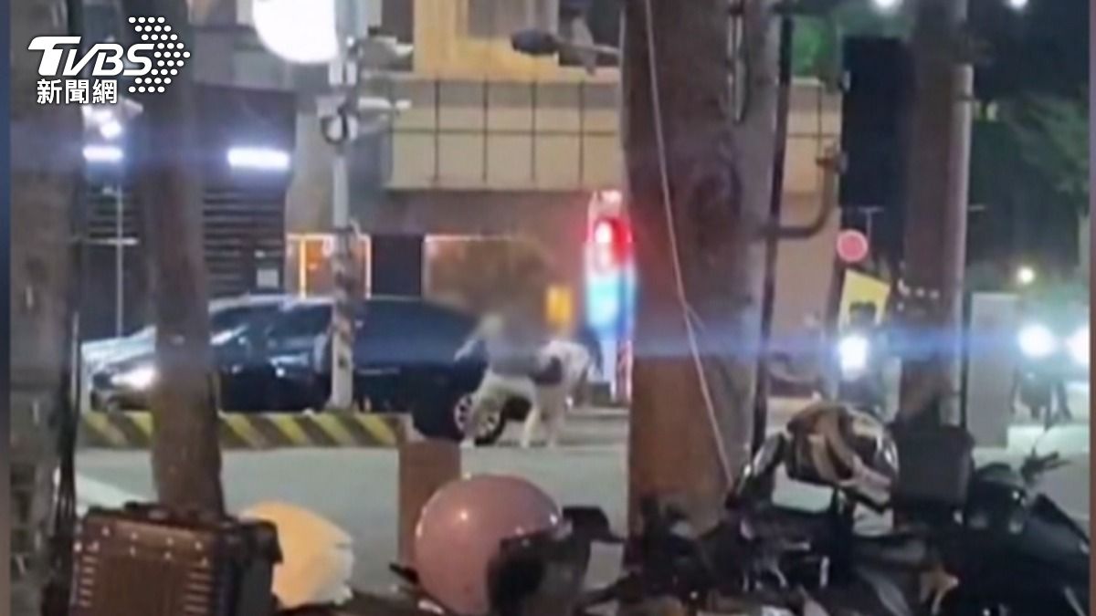 當街爆打女友!男持K他命涉毒駕 路人制止反遭移送。(圖/TVBS)