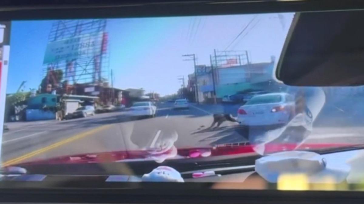 「當街偷車甩飛車主」超商停車場驚魂 嫌犯27分鐘後落網。(圖/threads maggie910417)