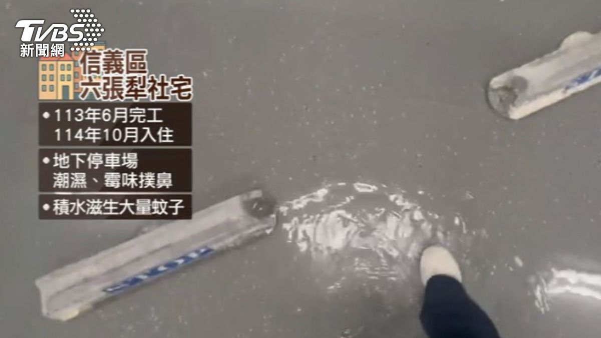 六張犁舍宅則被點名,地下室漏水導致孳生蚊蟲。(圖/TVBS)