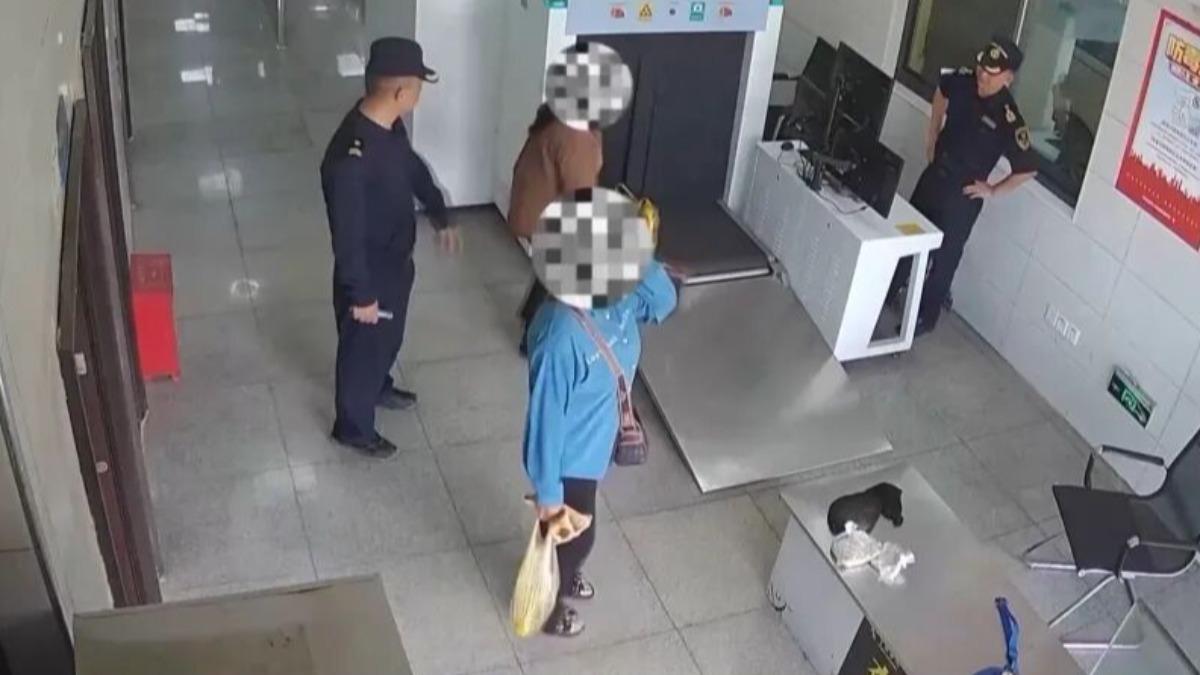 昆明海關西雙版納隸屬海關查到3人試圖私帶竹蟲入境。（圖／翻攝自央視）