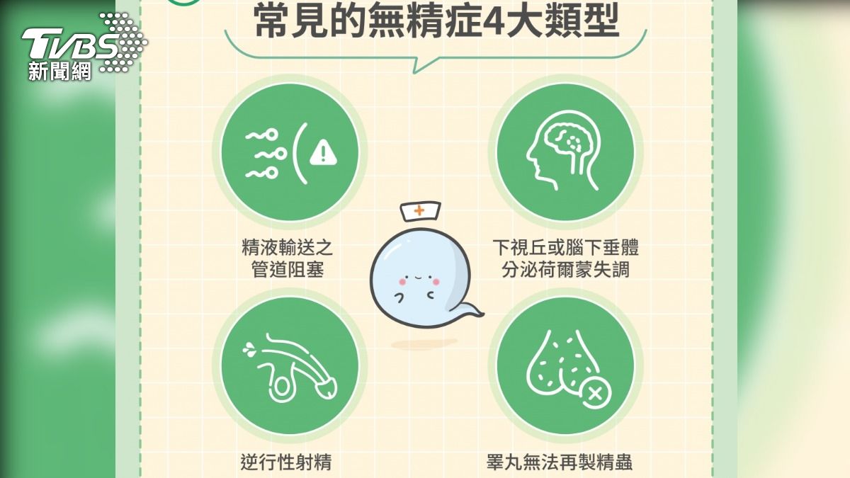 常見的無精症類型。(圖/TVBS)