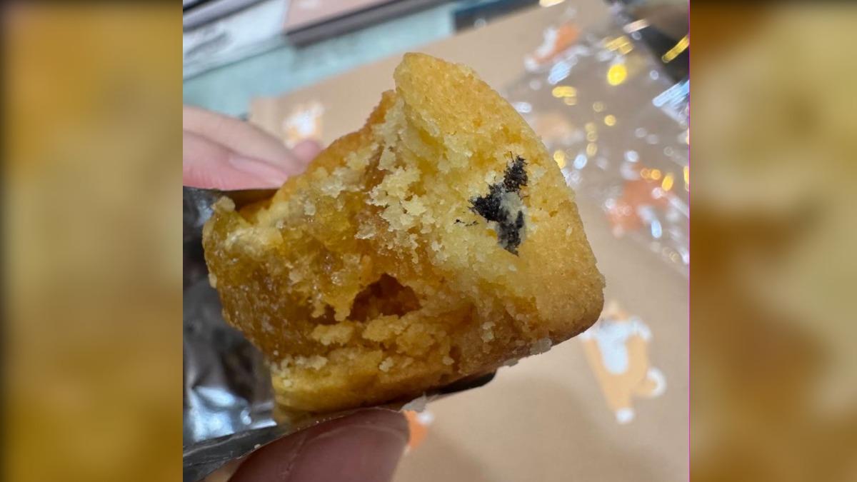 民眾指控到佳德買鳳梨酥,卻在裡頭看到不明的黑色物體。(圖/翻攝google評論)