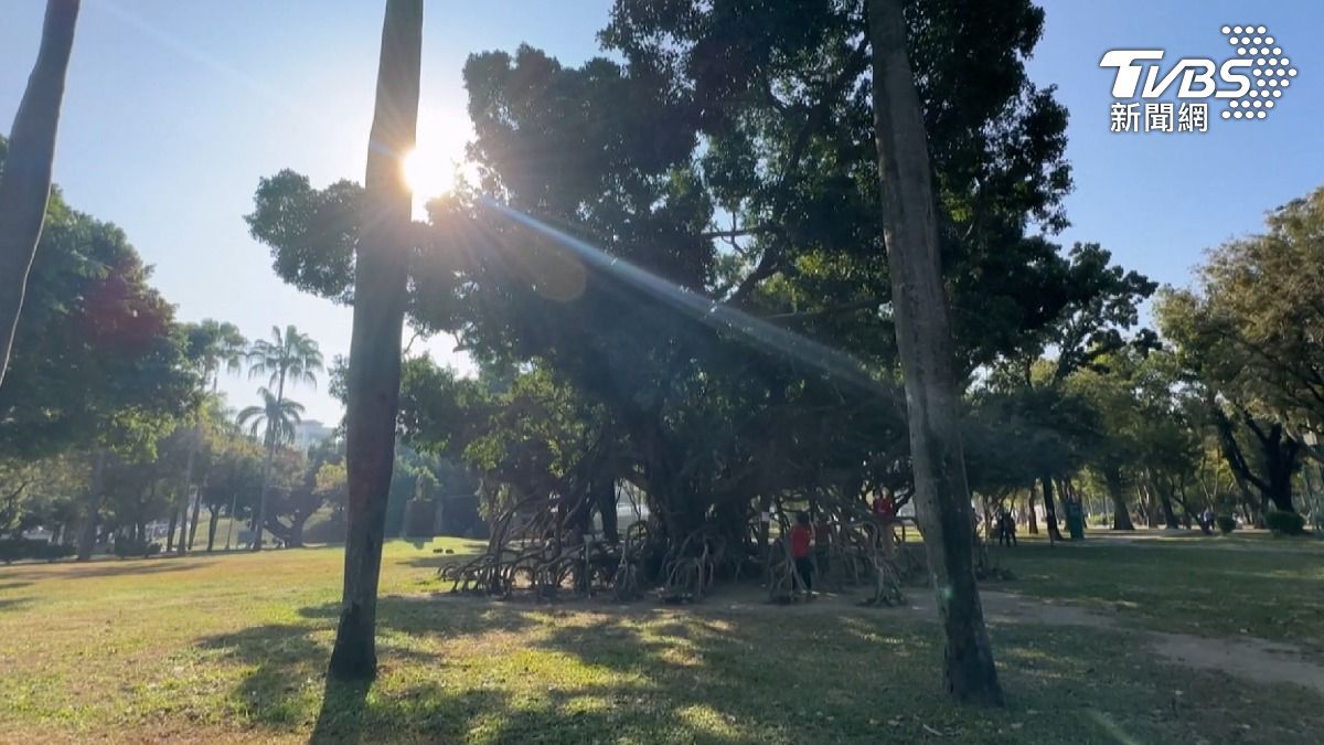 高雄中央公園這裡成為了熱門的拍照地點，吸引了許多台灣人前來打卡。（圖／TVBS）