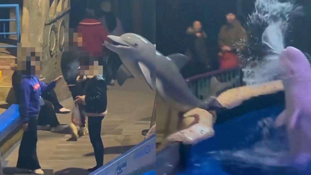 男水族館狂抽菸!白鯨秒噴「制裁水砲」爆頭滅火 狼狽畫面瘋傳