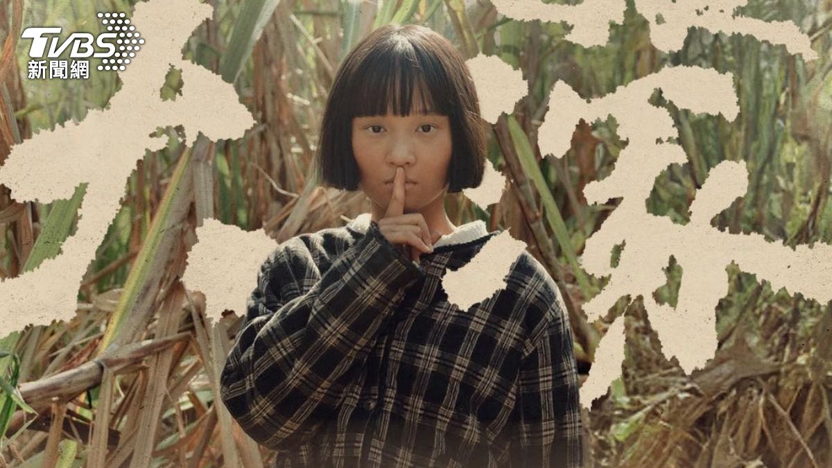 《大濛》上映兩週票房就突破3千萬大關，寫下佳績。（圖／大濛FB）