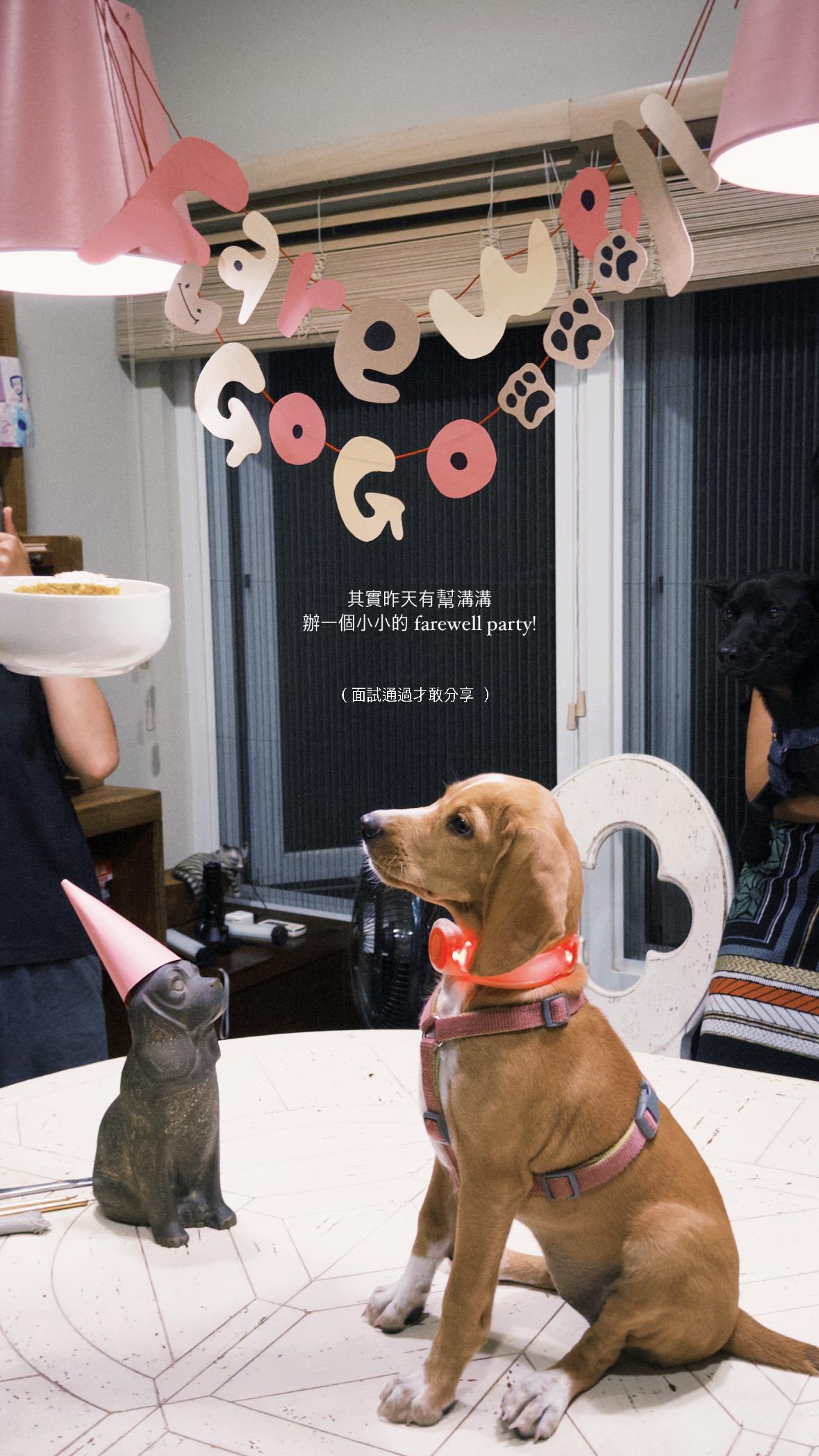 民宿夥伴們幫溝溝辦歡送派對。（圖／民宿老闆提供）
