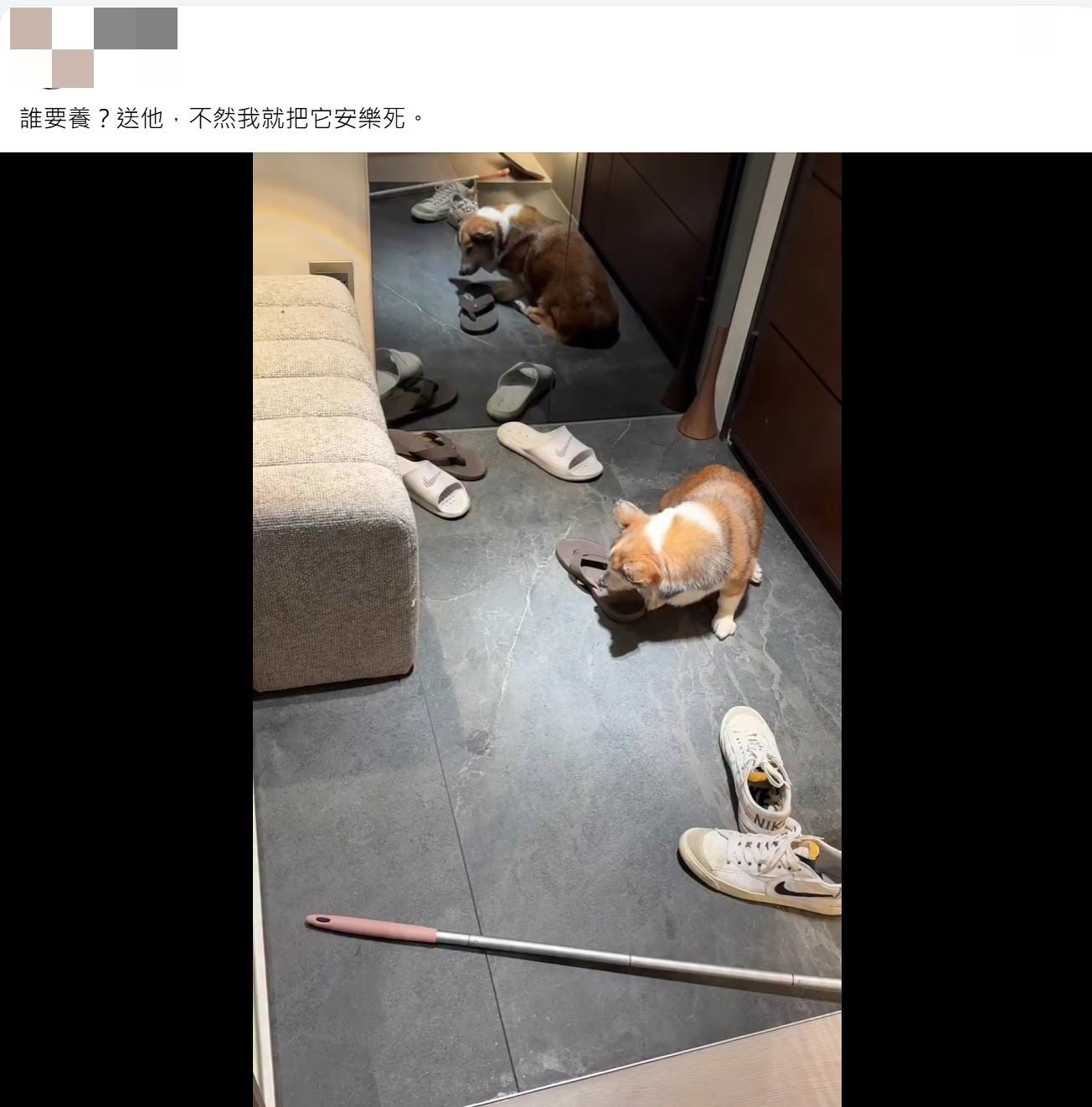 詹男揚言將狗安樂死。(圖/翻攝自Threads)