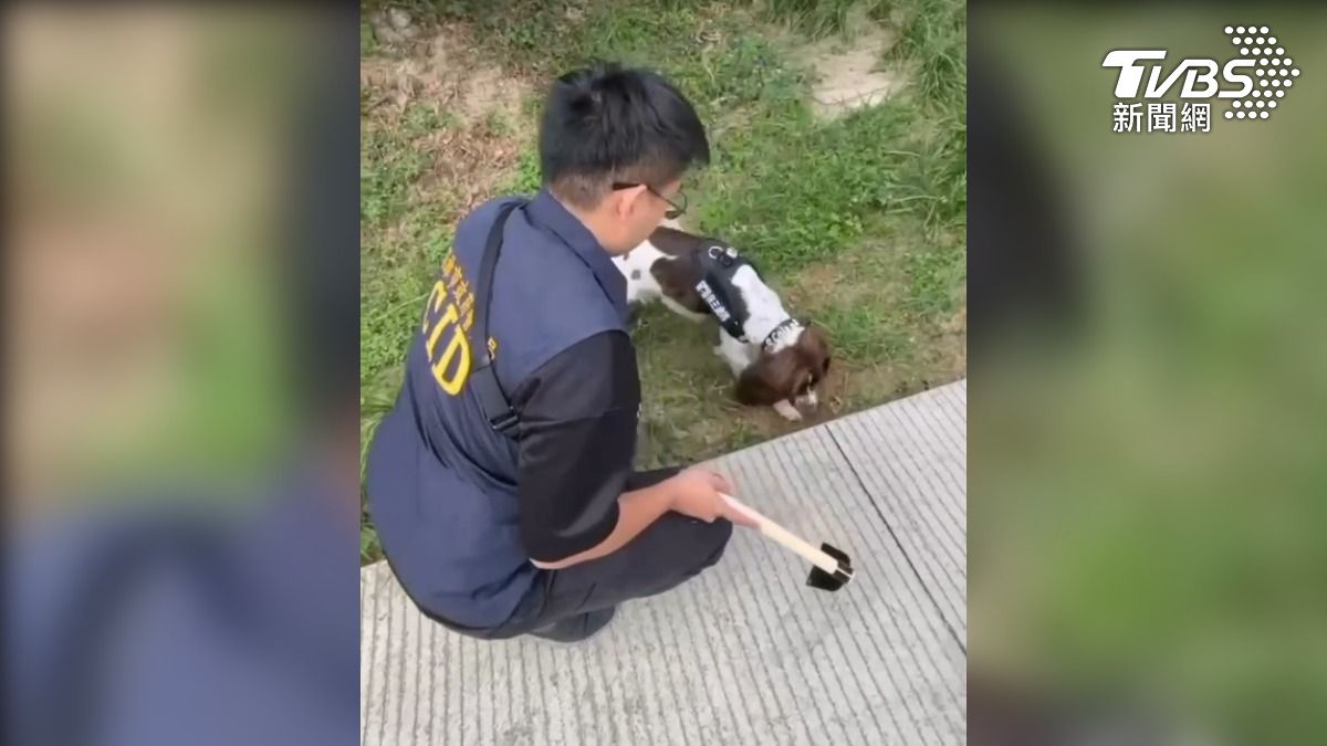 嫌犯將毒品藏在高雄觀音山附近的一處公園,當地人煙稀少,請緝毒犬來支援,聞到毒品以外還會自己挖出(圖/TVBS)