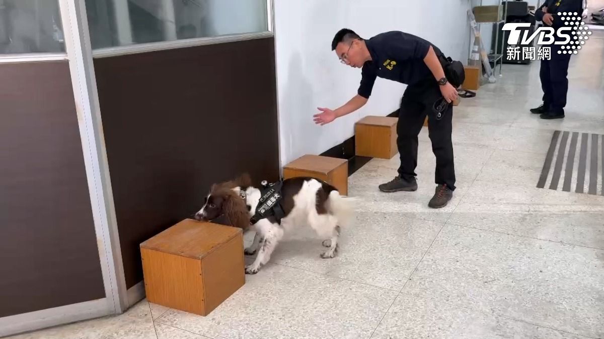 警方模擬可樂緝毒的實際狀況,在箱子內把毒品藏匿在裡面,機敏的可樂,一下就嗅出不尋常的味道,坐下後示警(圖/TVBS)