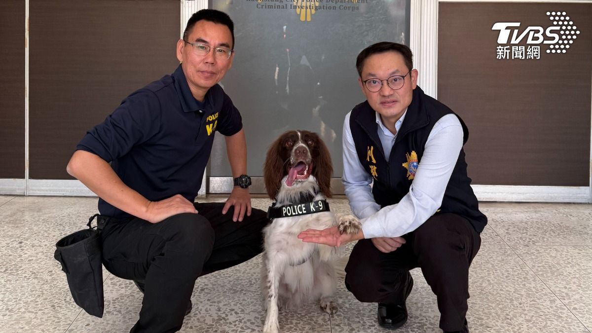 緝毒犬可樂立功。(圖/TVBS)