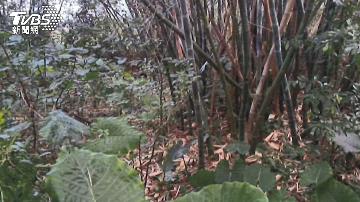 警方從腐屍「薄紙指皮」提指紋　30歲男身分曝光終「回家」。（圖／竹東分局提供）