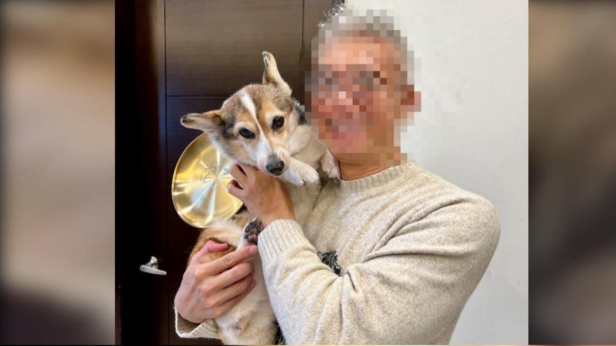 動手的飼主曾獲「模範飼主」讓人唏噓。（圖／動保處提供）