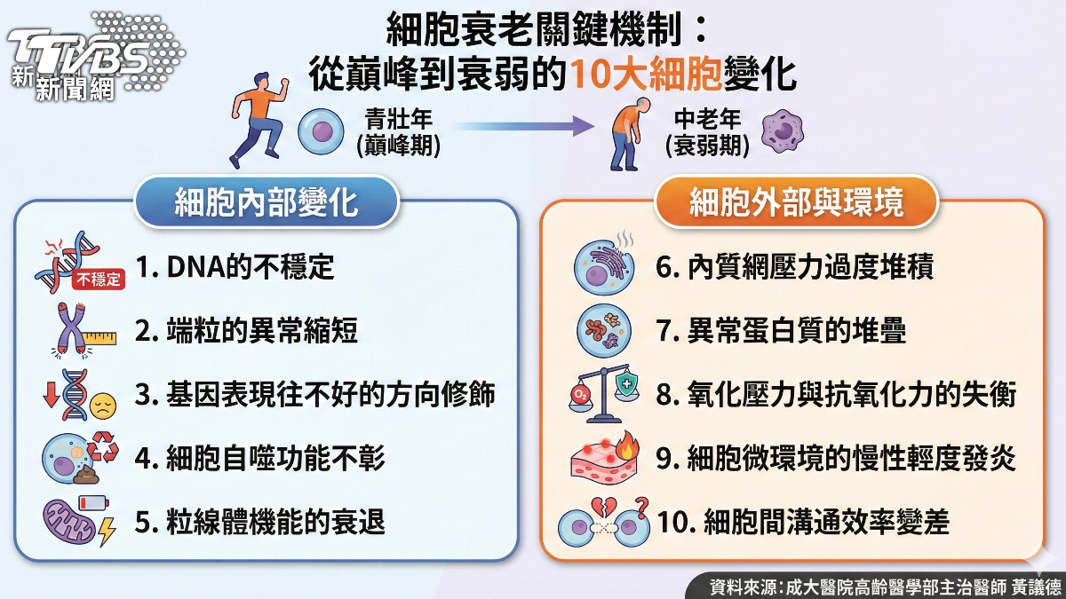 勿讓早衰提前報到？醫師：熬夜.肥胖 加速老化 (圖/TVBS)