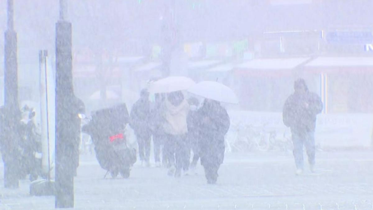 韓國多地發大雪預警!這波下「濕雪」江原道積雪恐達15公分
