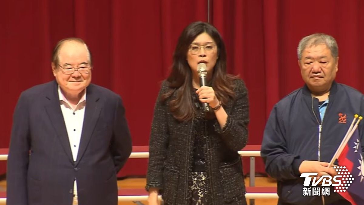 鄭麗文（圖／TVBS資料畫面）
