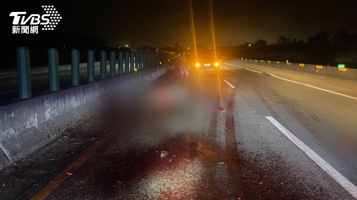 馬匹被車輛撞擊死亡。(圖/TVBS)