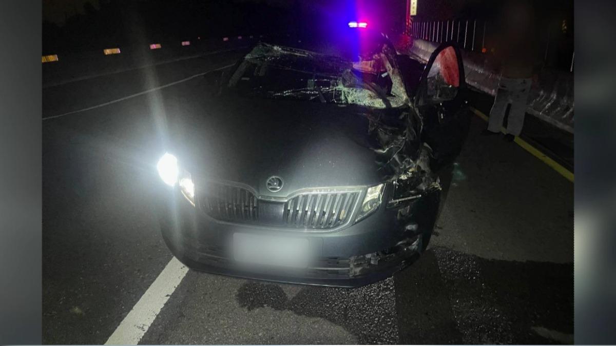 西濱快速道路馬匹闖入再釀禍!車撞亡1馬 駕駛輕傷。(圖/民眾提供)