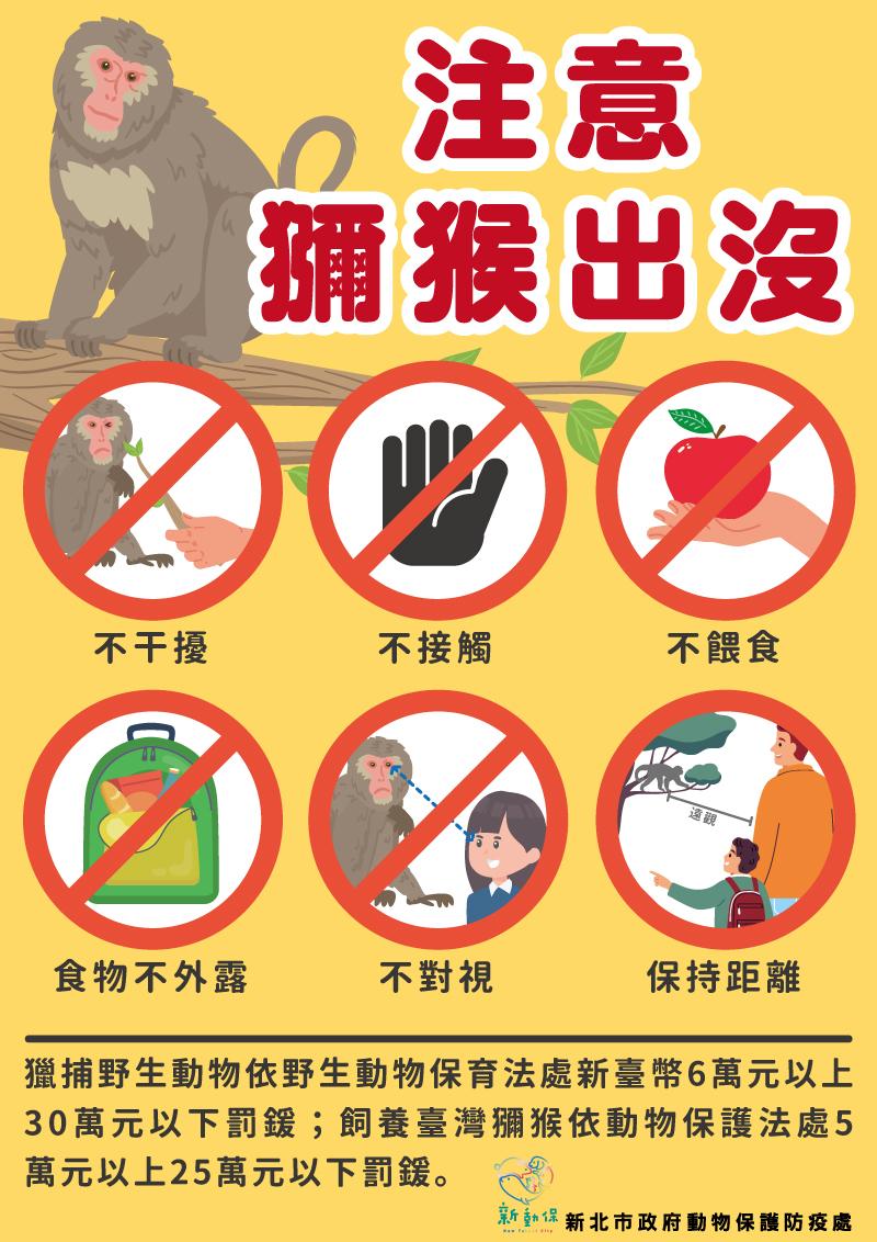 若出現野生獼猴,民眾可遵守以上原則。(圖/新北市政府動保處提供)