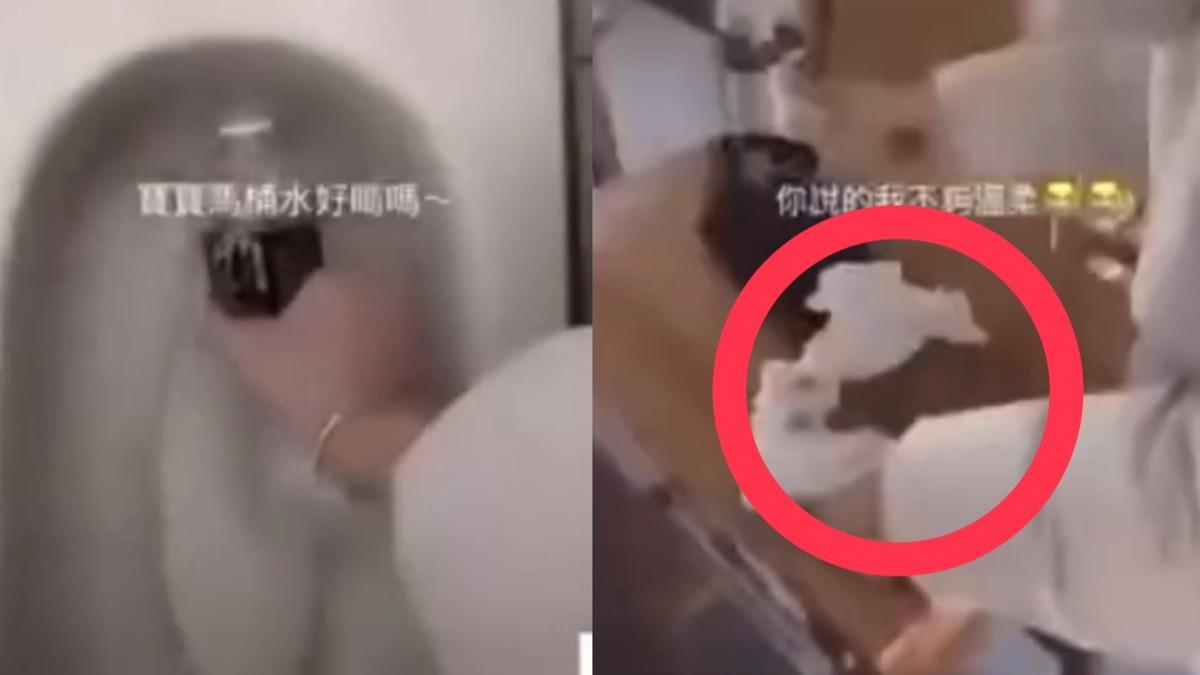 彰化某高職霸凌!女學生裝馬桶水、穢物抹桌椅 錄影PO網校方急處置