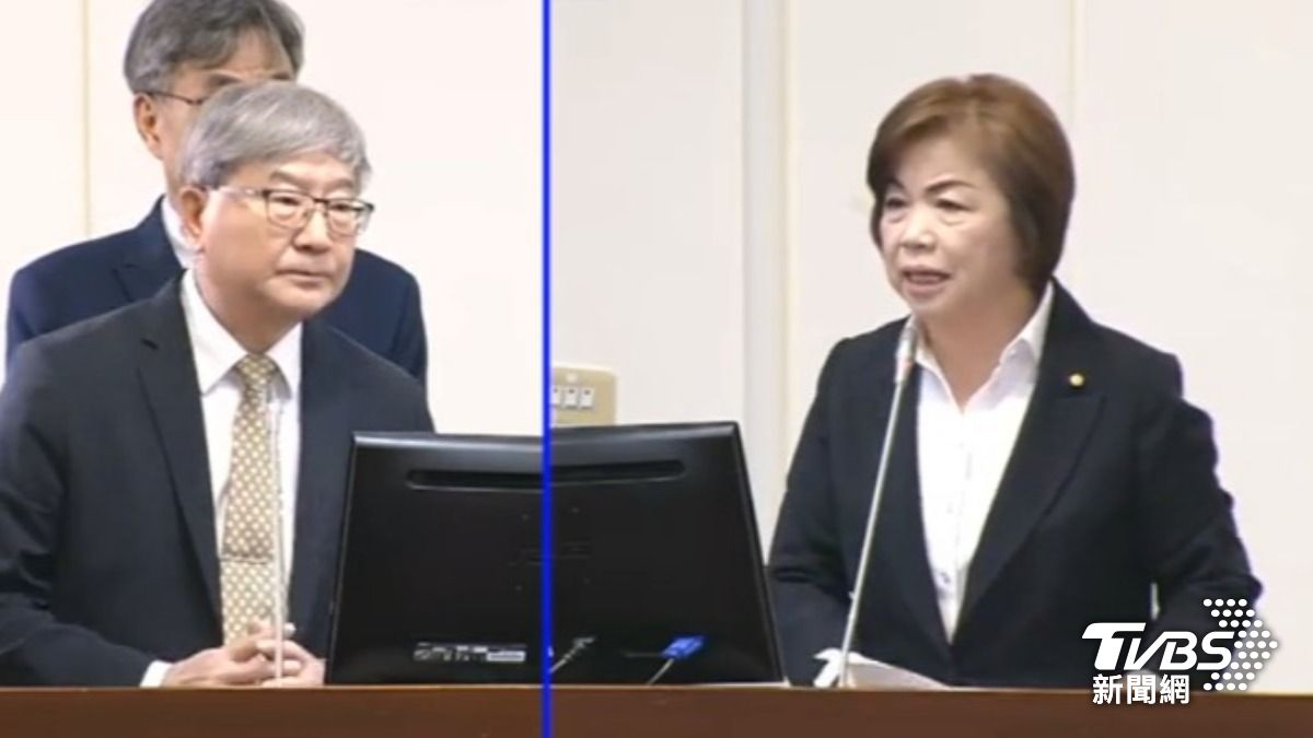 楊瓊瓔（圖／TVBS資料畫面）