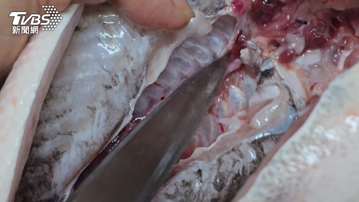魚肉買回家別急著連同原包裝直接放進冰箱。(圖/TVBS)
