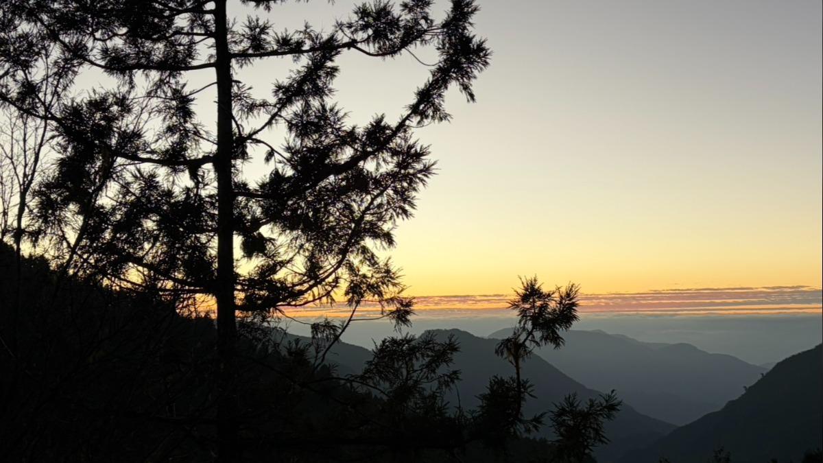 結霜了!太平山森林遊樂區4度低溫 遊客衝上山賞美景