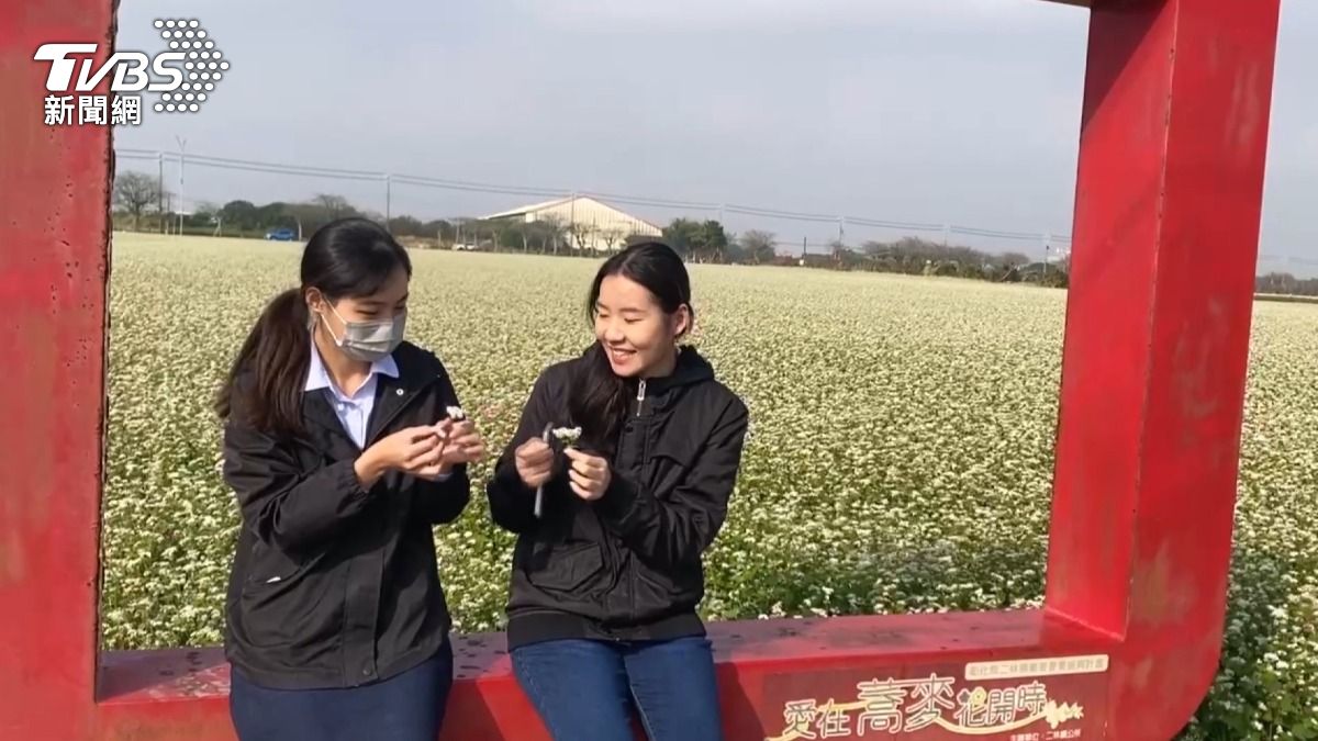 佔地90公頃的蕎麥花海特別設置了最佳取景點。(圖/TVBS)