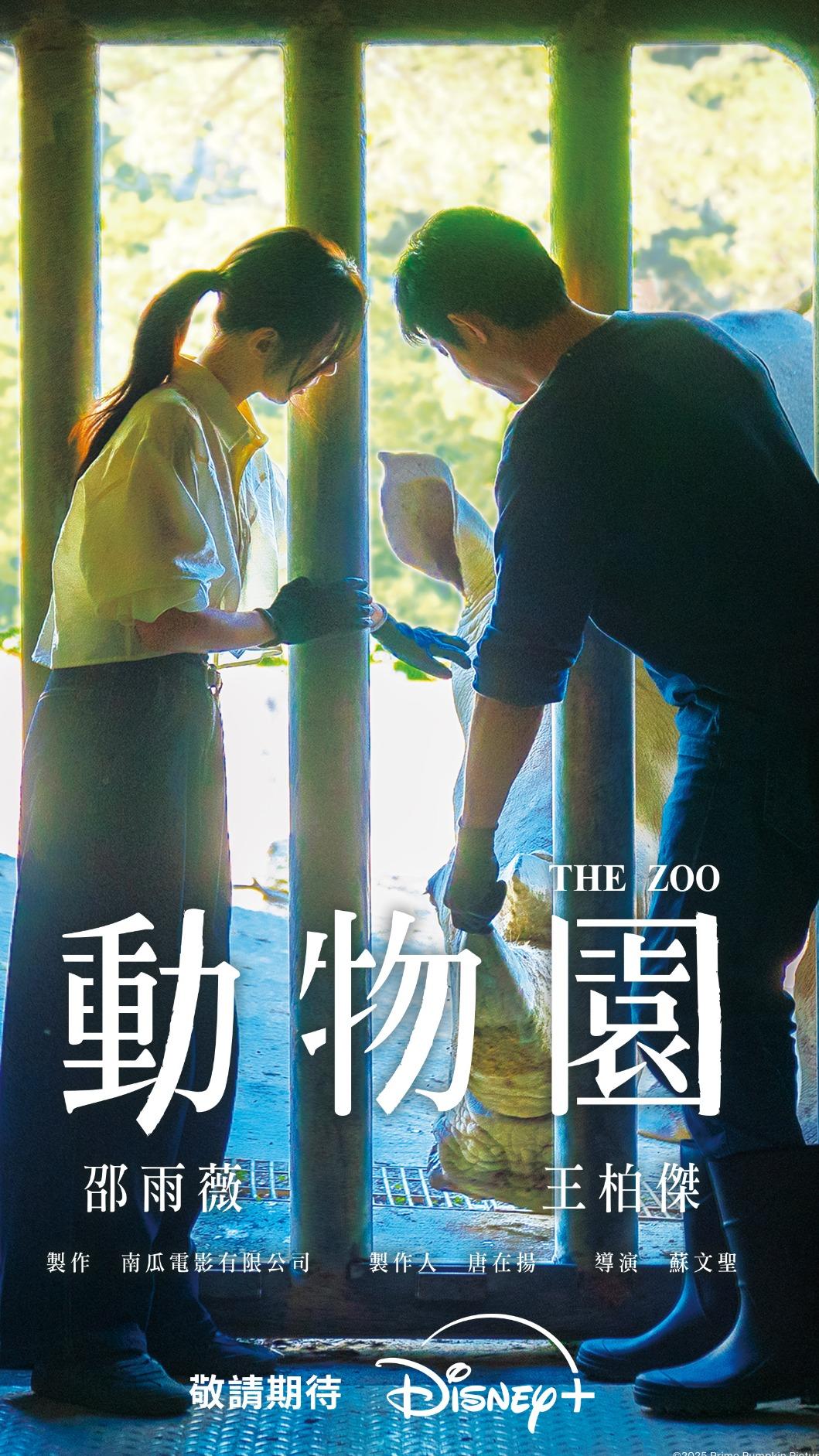 《動物園》未演先轟動。(圖/Disney+提供)