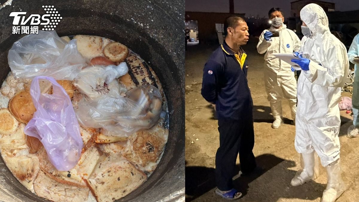 台中男不甩非洲豬瘟禁令!偷用廚餘養豬 遭重罰4百萬