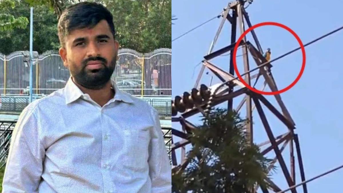 7萬元鸚鵡飛上電塔!印度男爬牆救鳥 遭上萬伏特電擊亡