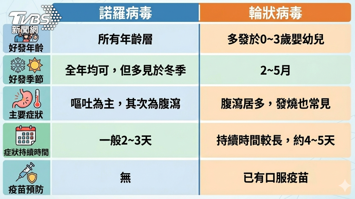 諾羅病毒和輪狀病毒差異。(AI製圖/Gemini)