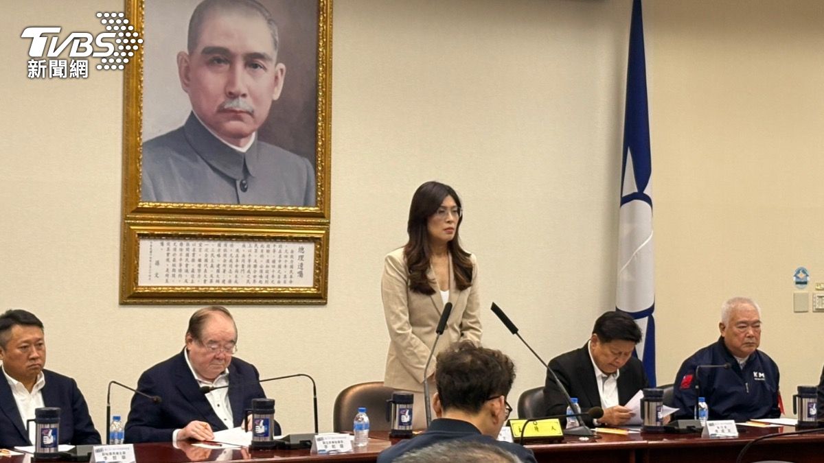 嗆總統沒民主素養 鄭麗文:在野無法獨裁「就像男人不會生小孩」