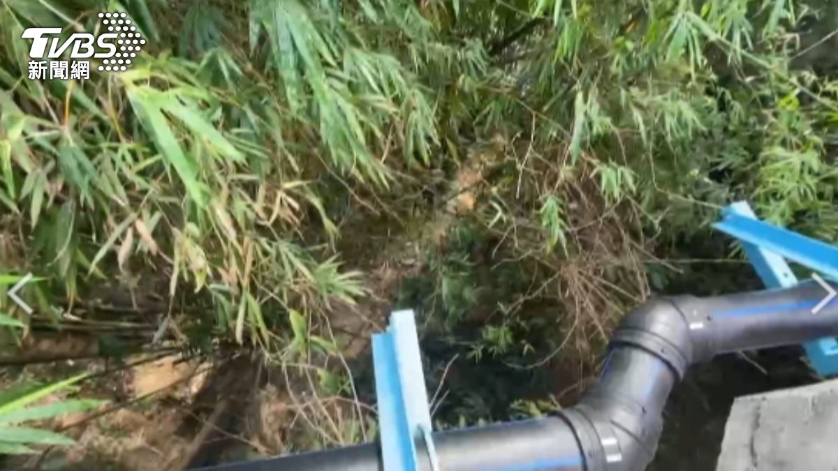 殺雇主後棄屍彰化!警拜土地公「隔天枯枝落葉下找到遺骸」