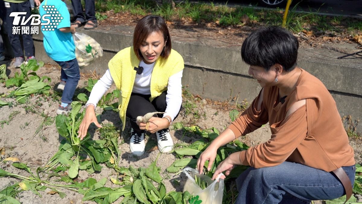 白玉蘿蔔田裡的邱議瑩。她手中的蘿蔔不是「營養不良」，而是白玉蘿蔔就是這麼小巧可愛。（圖／柯勝雄攝）