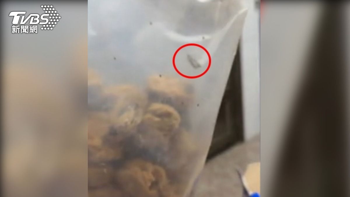 全穀片袋內竟然有飛蛾。（圖／當事人提供）