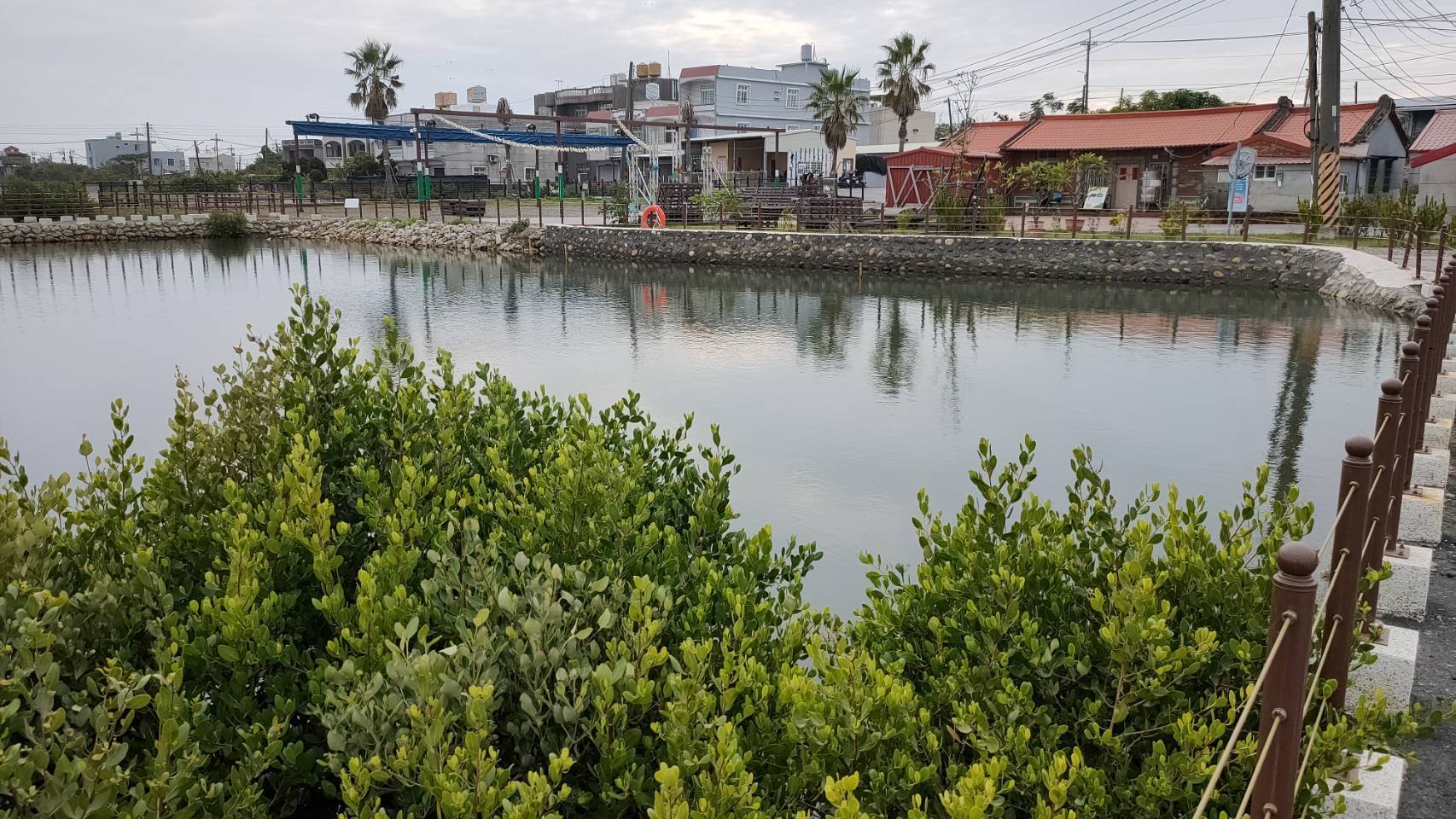 高雄沿海導入藍碳生態系理念 魚塭成示範場域