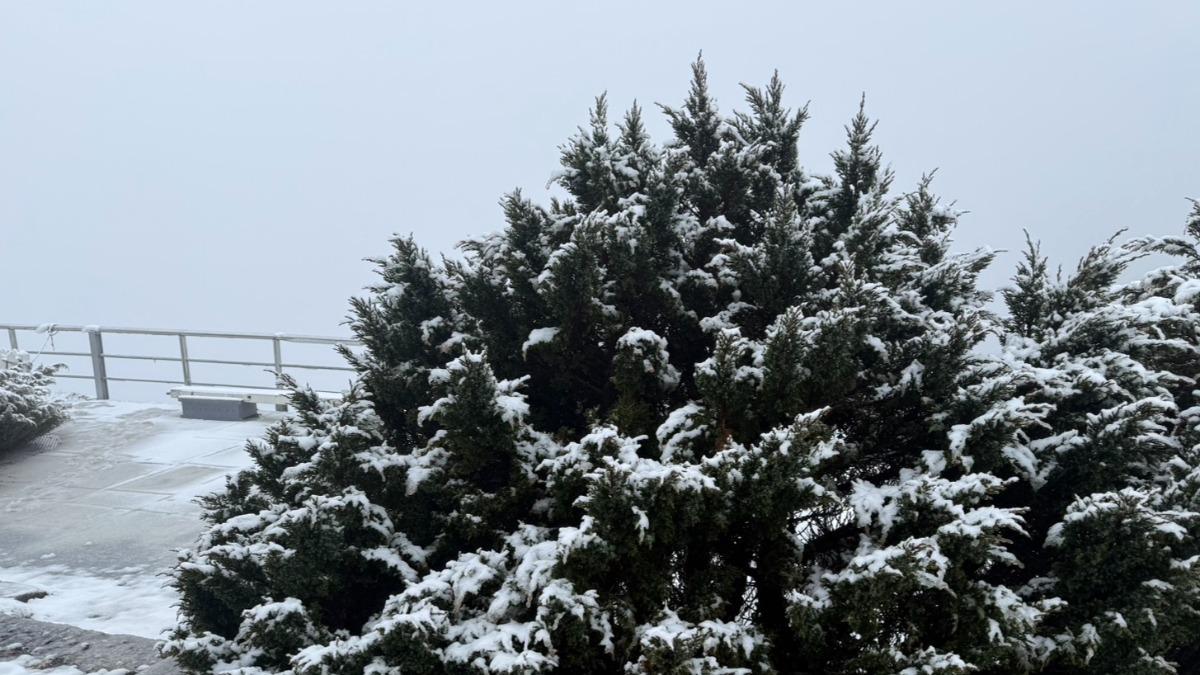 天氣／玉山北峰降瑞雪！11:25降雪持續　積雪深度達2.5公分