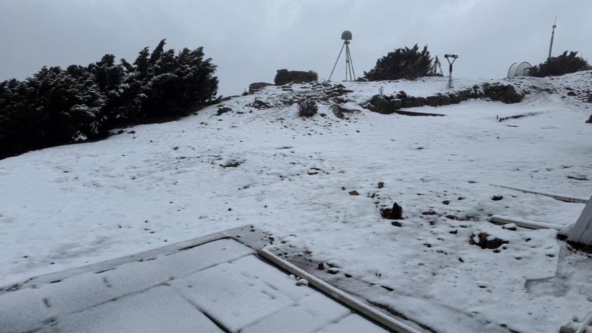 玉山北峰今晨降下瑞雪，積雪深度達2.5公分。（圖／中央氣象署）