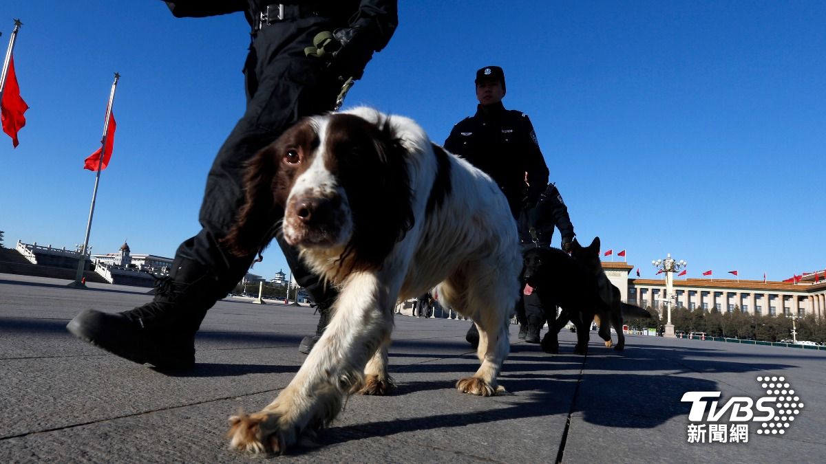 警犬也要中國製!中國培育新品種「昆明犬」取代德國牧羊犬