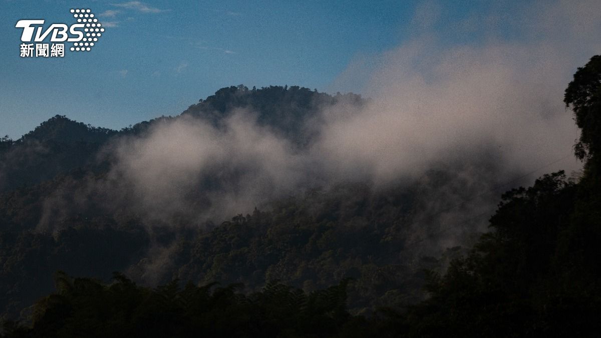 厄瓜多安地斯喬科雲霧林，擁有豐富鳥類與大型野生動物。(示意圖／shutterstock 達志影像)