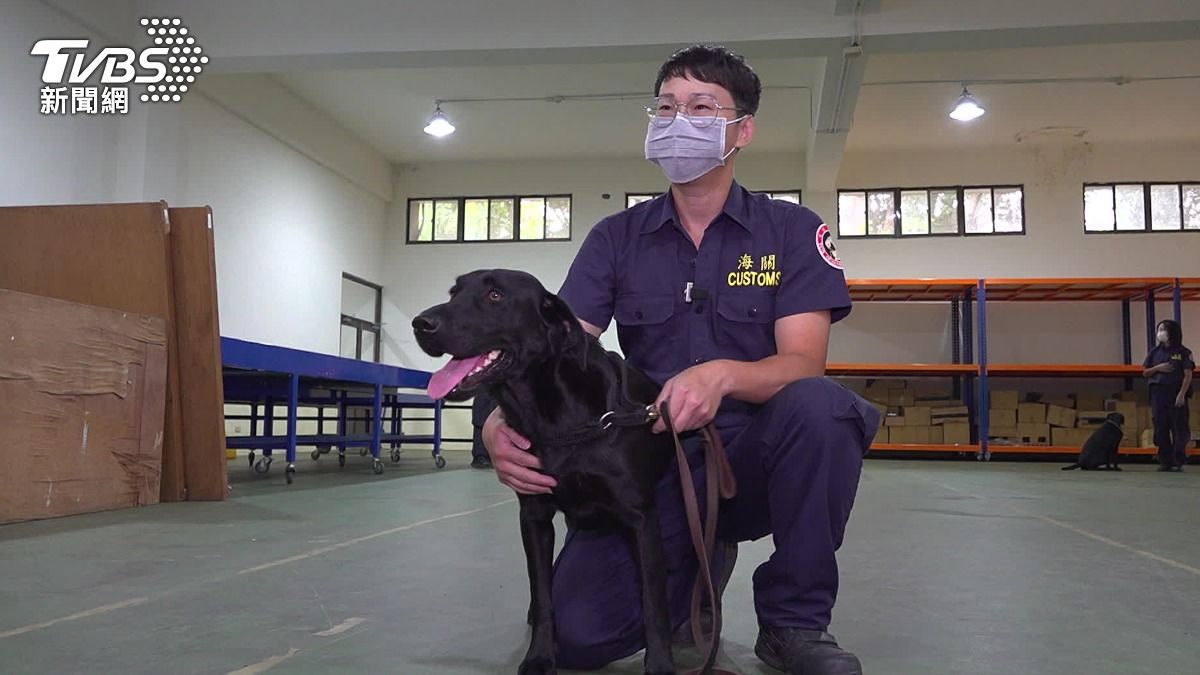 護國神犬訓練中心，培訓緝毒犬任務。（圖／TVBS）