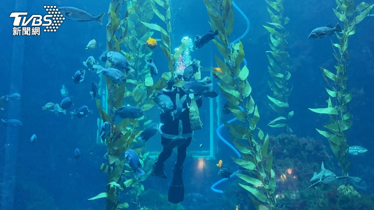 聖誕老公公「潛」入海底世界 海生館限時互動體驗