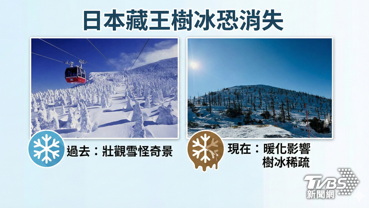 日本藏王樹冰變瘦。(圖/AI製圖)