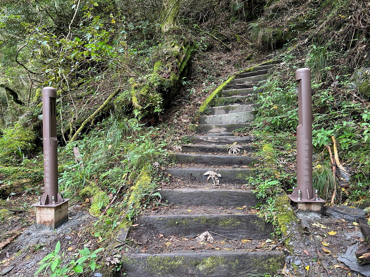 玉山國家公園管理處在南橫三山步道出入口設置「雙向人員流量計數器」，收集不同時段、季節人流數據，用作環境負荷和步道經營具體參考。圖為庫哈諾辛山登山口完成設置人流計數器。（圖／中央社）
