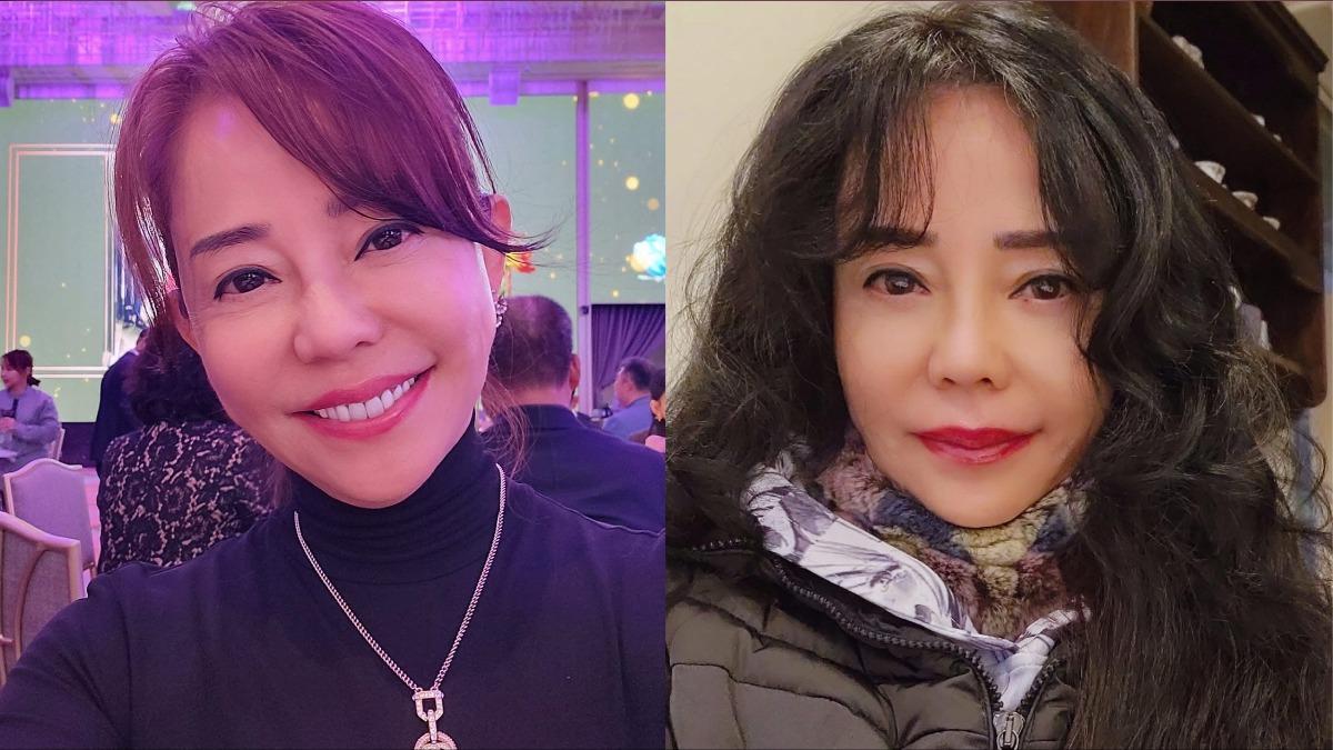 「台灣到底怎麼了？」　狄鶯悲憤怒轟：千錯萬錯都政治人物的錯