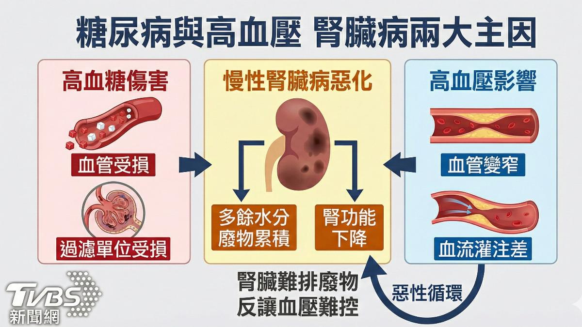 注意!慢性腎臟病早期無感 三高失控加速惡化 (圖/TVBS)