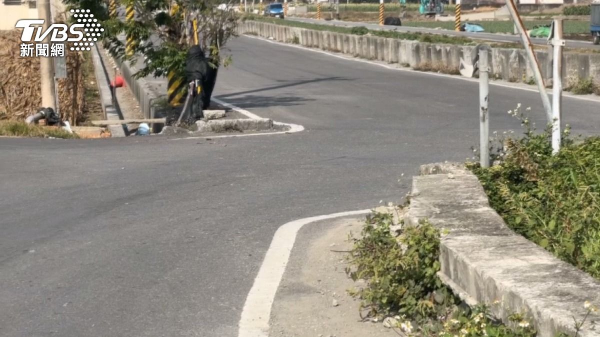 開車載寵物出門時,最安全的位置是後座,應使用運輸籠或安全帶固定。(圖/TVBS)