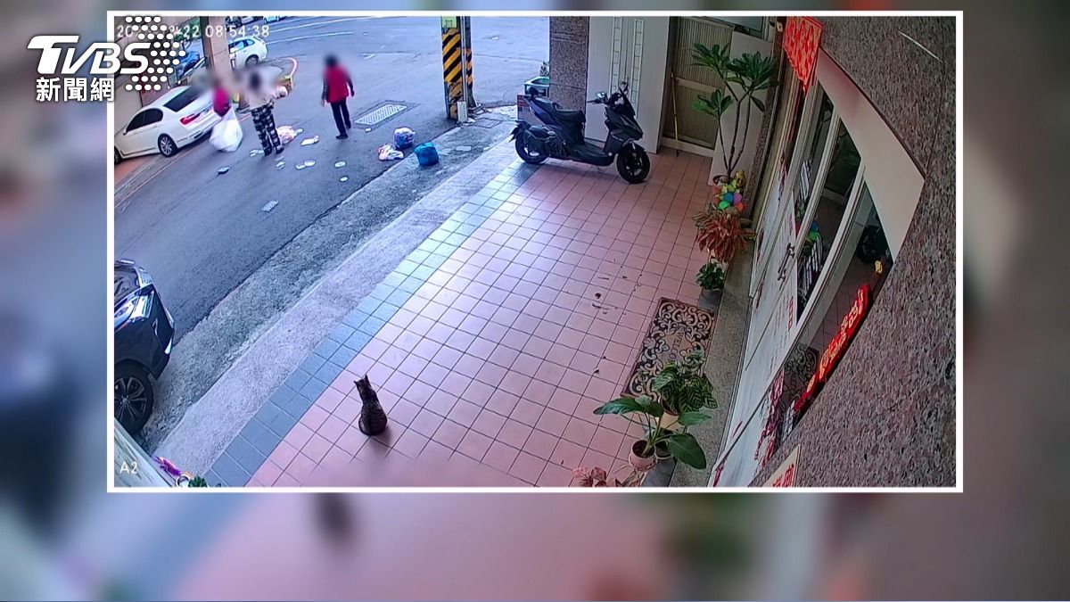 扯髮與丟垃圾的肢體衝突,連一旁的貓咪都看得傻了眼。(圖/TVBS)